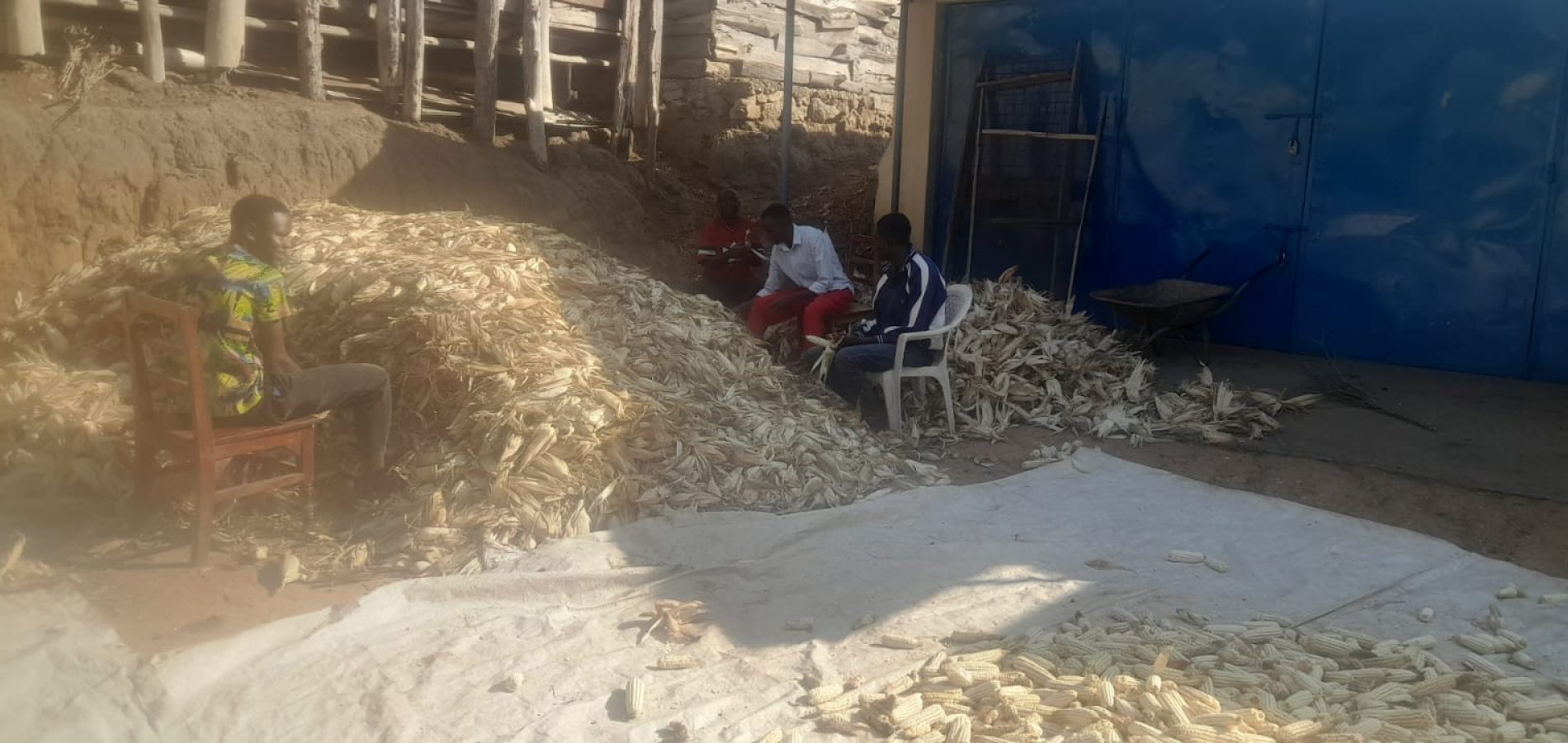 At Kujenga Inclusive Education, our garden initiative goes beyond nutrition. Indeed, this hands-on project not only feeds bodies, but also nurtures essential student values.