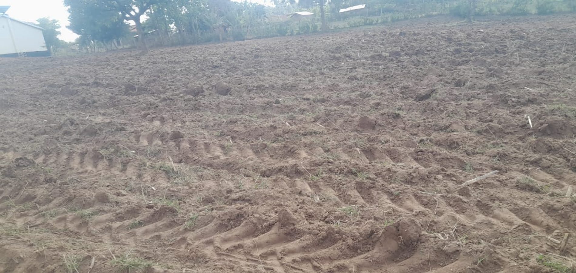 The soil at Kujenga Inclusive School's garden plot has been prepared and tilled for cultivation.