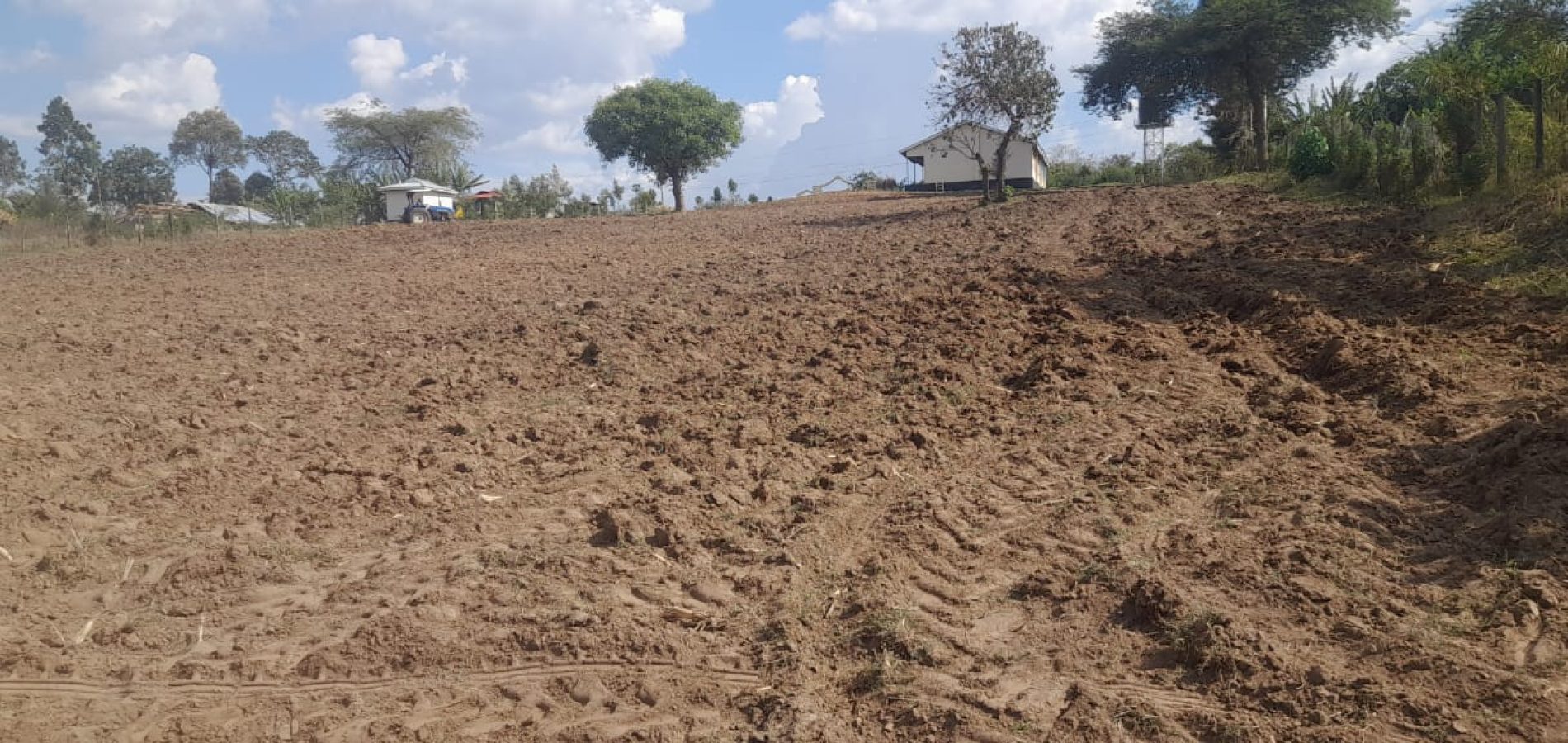 Staff at Kujenga School use a land master to till the soil in the garden area for cultivation.